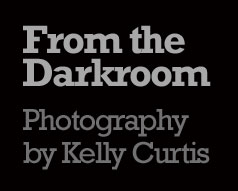 From the Darkroom Logo