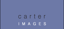Carter Images